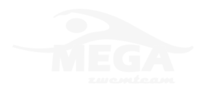 logo - MEGA